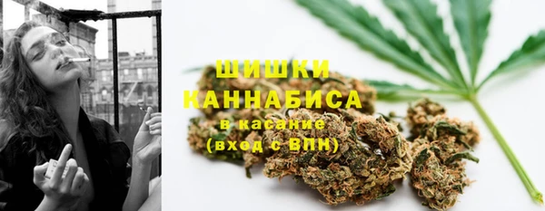 стафф Волоколамск
