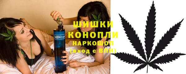 стафф Володарск
