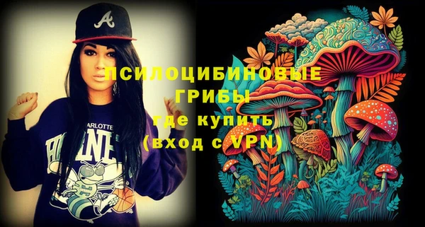 стафф Волоколамск