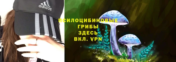 стафф Волоколамск
