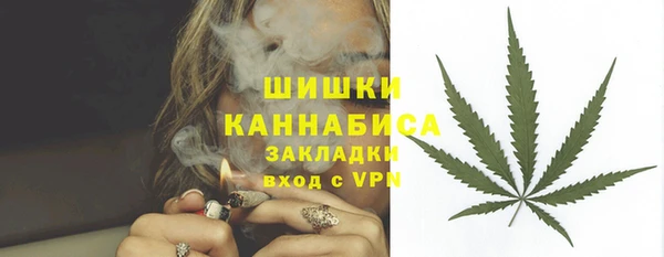 стафф Волоколамск