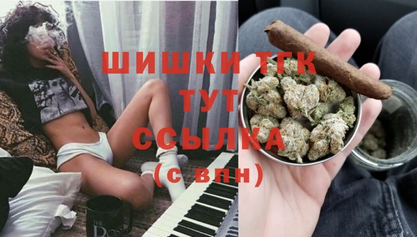 стафф Володарск