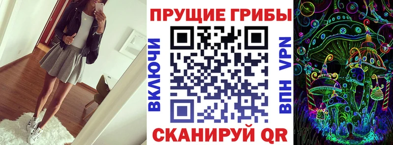 кракен ссылки Волосово Галлюциногенные грибы прущие грибы где можно купить