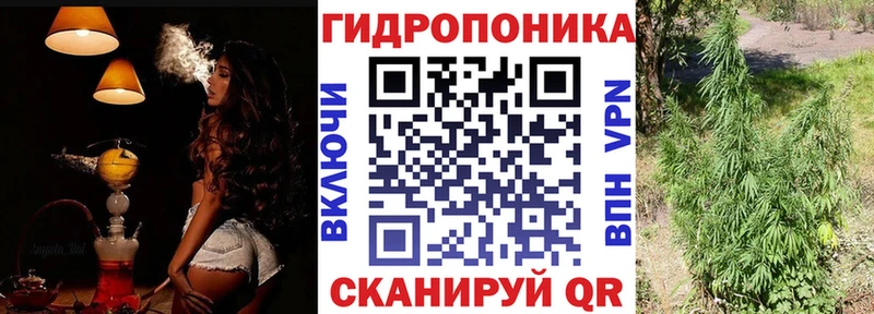 Шишки марихуана сатива  Волосово 